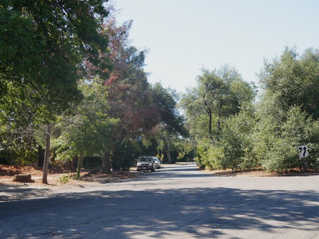 A street with thick tree cover on both sides, and large spots of shade on the road.