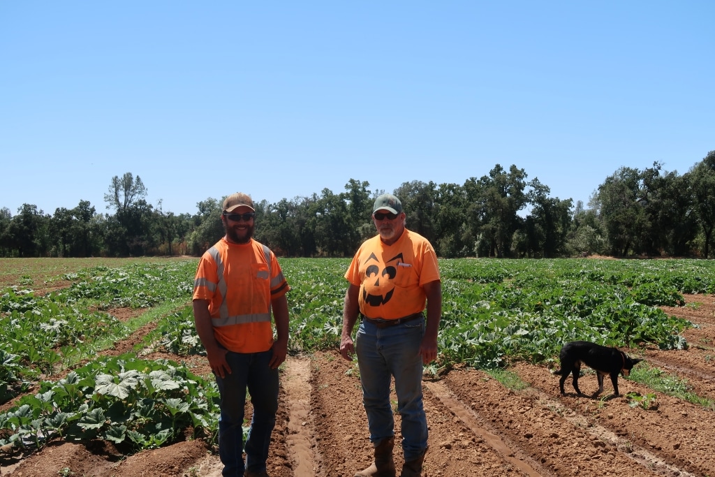 Two men, Louis and Bob Nash, in orange shirts and baseball caps stand in front of a dirt field with pumpkin plants behind them.