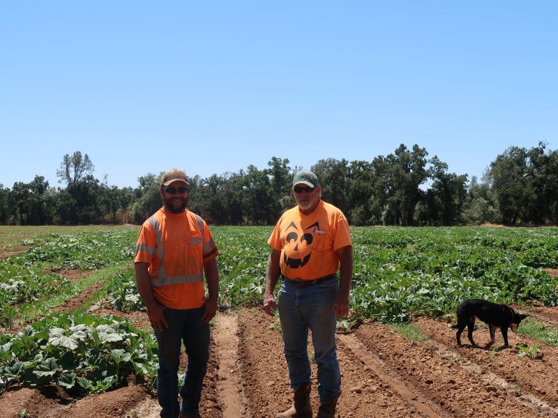 Two men, Louis and Bob Nash, in orange shirts and baseball caps stand in front of a dirt field with pumpkin plants behind them.