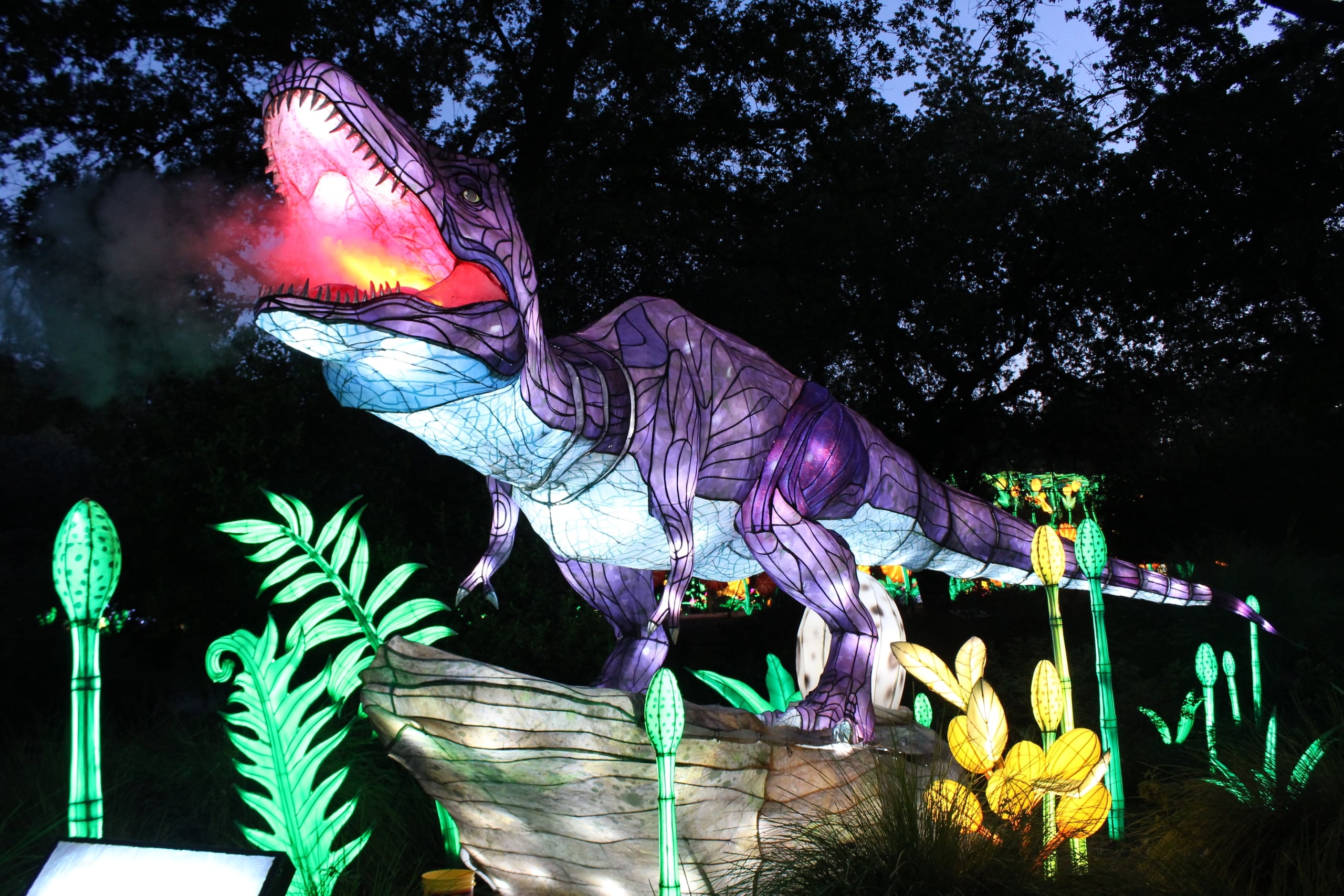 Gallery: 'Glowing Wild' brings illuminating display to Redding